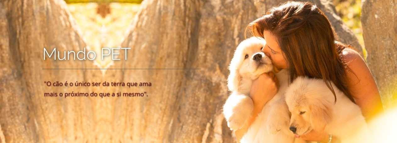 cirurgia-catarata-veterinaria-encrenquinhas-banner1