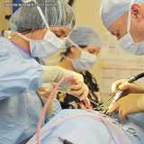 cirurgia de coluna veterinária Berrini cirurgia de coluna veterinária Berrini