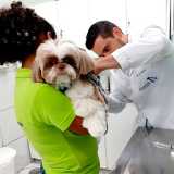 clinica de veterinária Jardim América clinica de veterinária Jardim América