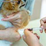 clínica para exame de sangue veterinário Pinheiros
