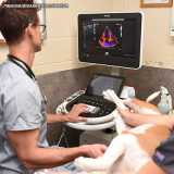 clínica para exame ecocardiograma veterinário Santana