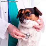 clínica para exame físico veterinário Cidade Monções