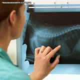 clínica para exame radiográfico veterinário Alto de Pinheiros