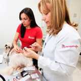 clinica popular veterinária contato Pompéia clinica popular veterinária contato Pompéia