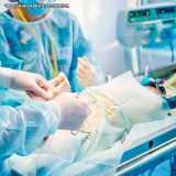 clínica que faz cirurgia veterinária mastectomia Berrini clínica que faz cirurgia veterinária mastectomia Berrini