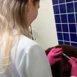 contato de clinica veterinária ornamental Alphaville contato de clinica veterinária ornamental Alphaville