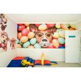 day care para cachorro perto de mim telefone Vila Mariana
