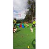 endereço de hotel cachorro Jardim América