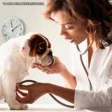 exame físico veterinário Jardins