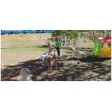 hotel e creche para cachorro Jardim Paulista