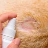 medico veterinario dermatologista Alto de Pinheiros medico veterinario dermatologista Alto de Pinheiros