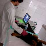 onde encontrar ultrassom com doppler veterinário Perdizes onde encontrar ultrassom com doppler veterinário Perdizes