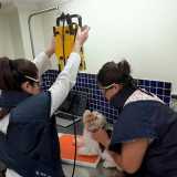 onde encontro clinica veterinária animal Pinheiros onde encontro clinica veterinária animal Pinheiros