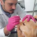 onde faz cirurgia oftalmológica veterinária Consolação onde faz cirurgia oftalmológica veterinária Consolação