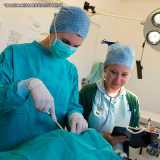 onde faz cirurgia veterinária popular Santana onde faz cirurgia veterinária popular Santana
