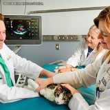 onde fazer exame ecocardiograma veterinário Vila Mariana