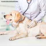 onde fazer exame físico veterinário Santana de Parnaíba