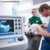 procuro por exame ultrassom veterinário Jardim Paulista procuro por exame ultrassom veterinário Jardim Paulista