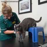 Fisioterapia Veterinária