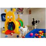 telefone de creche cachorro Perdizes