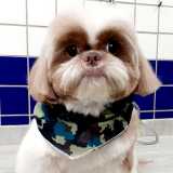 Tosa Canina Tosa Canina