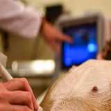ultrassom veterinário com doppler preços Tamboré ultrassom veterinário com doppler preços Tamboré